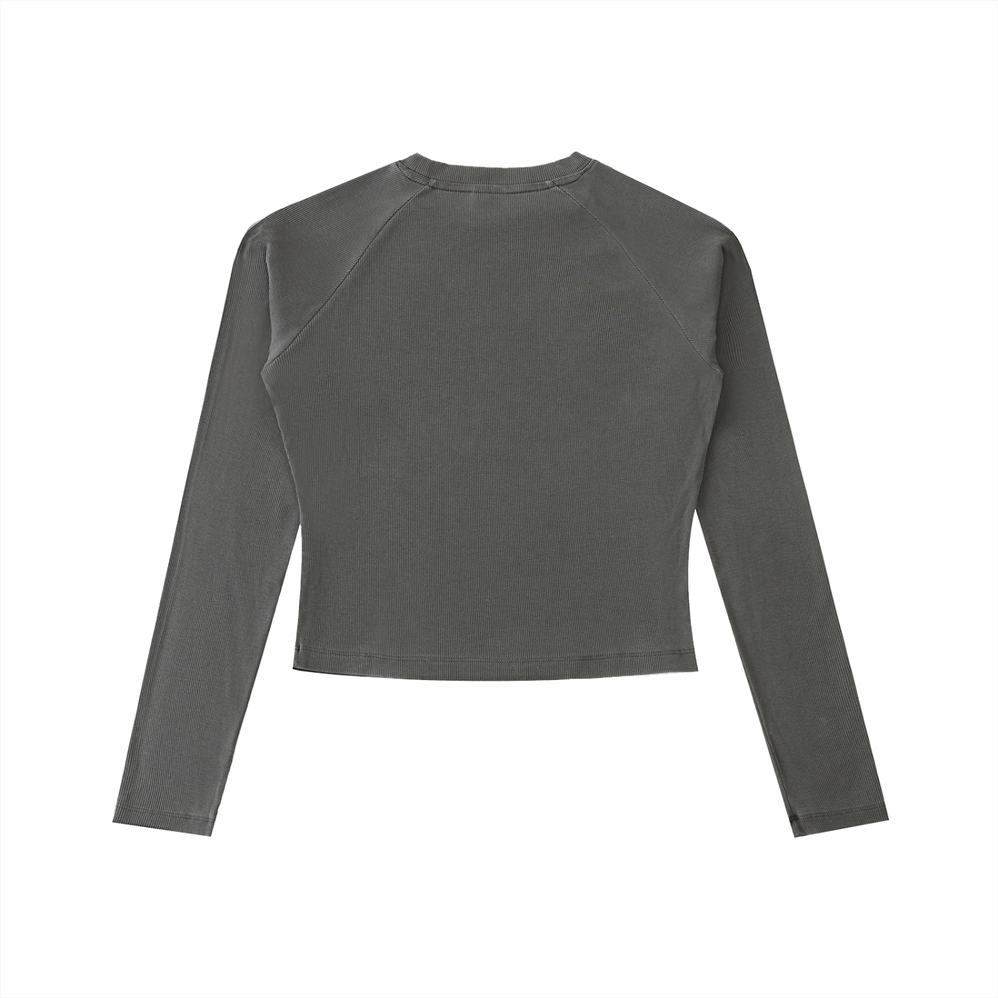 Proverbs 31 Woman Long sleeve