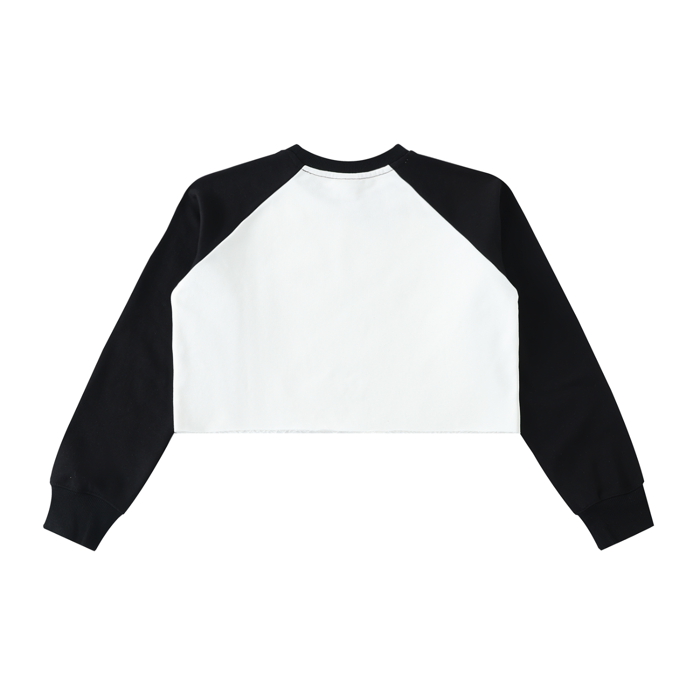 SL Crop Sweatshirt