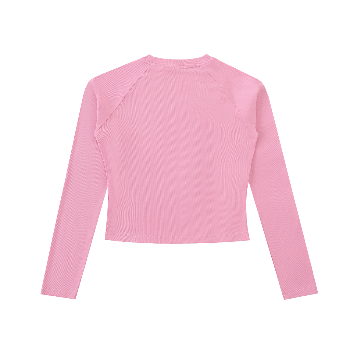 Proverbs 31 Woman Long sleeve