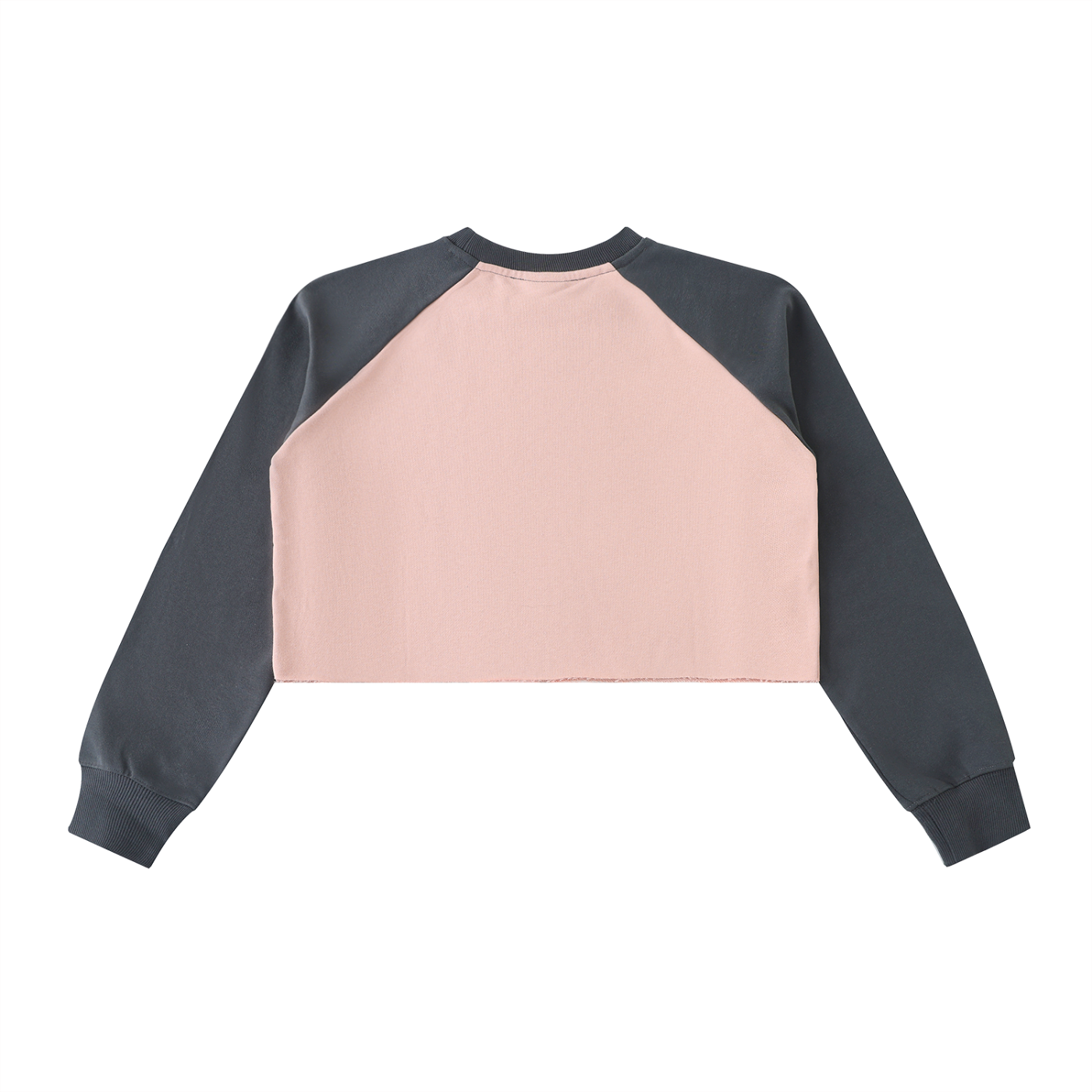 SL Crop Sweatshirt