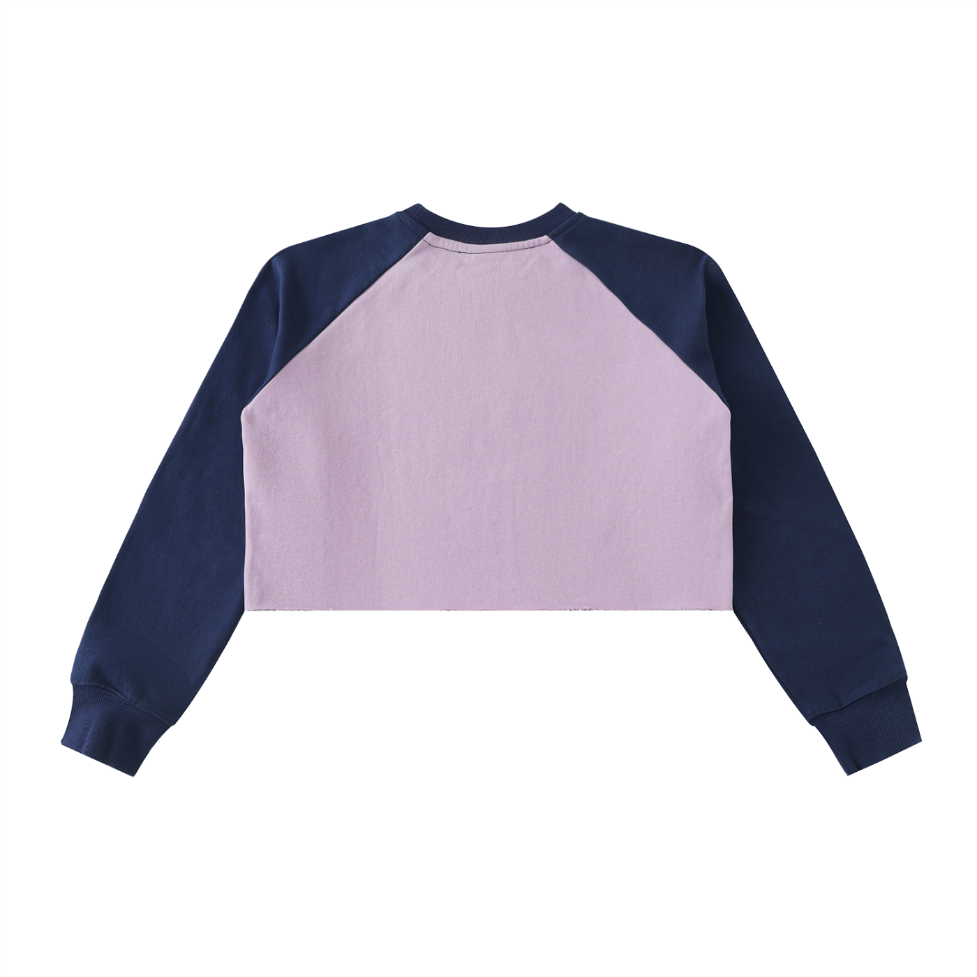 SL Crop Sweatshirt